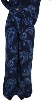 Zahjr Harembroek 53539495