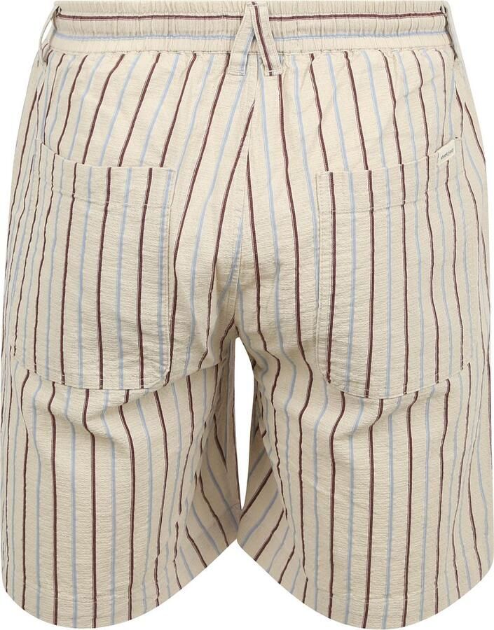 Anerkjendt Heren Gestreepte Shorts voor de Zomer Multicolor Heren