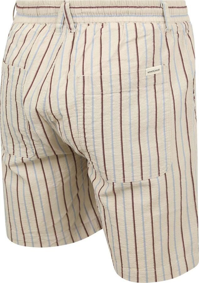 Anerkjendt Heren Gestreepte Shorts voor de Zomer Multicolor Heren - Foto 2
