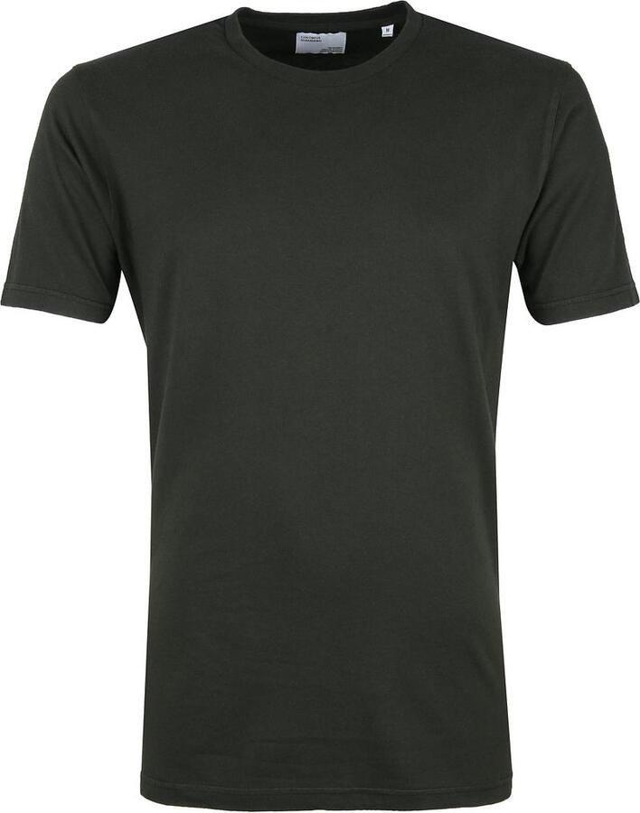 Colorful Standard Kleurrijke standaard organische t-shirt donkergroen Groen Heren