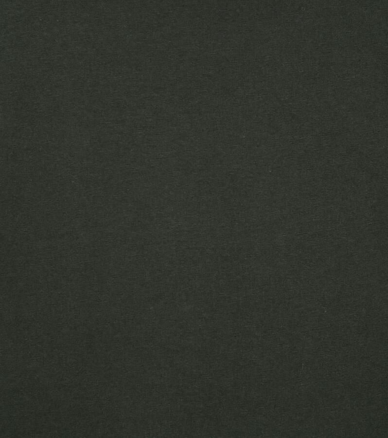 Colorful Standard Kleurrijke standaard organische t-shirt donkergroen Groen Heren - Foto 2