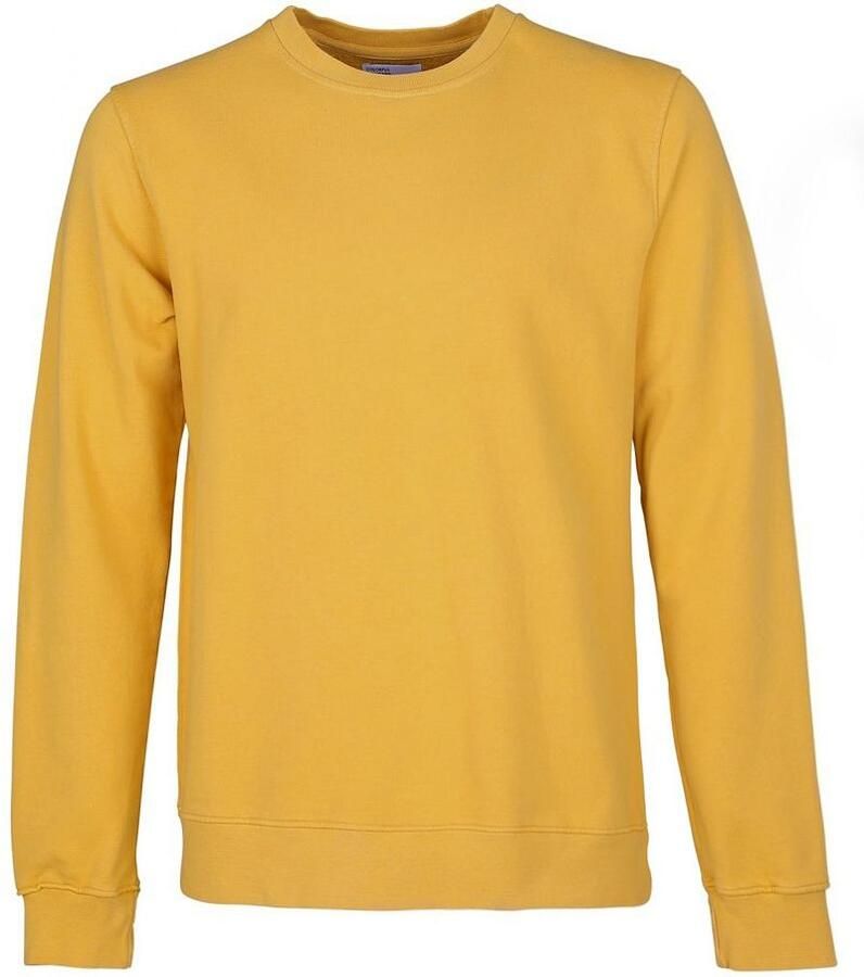 Colorful Standard Trui Geel Heren