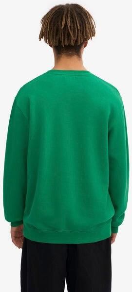 Colorful Standard Kleurrijke standaard trui Kelly Green Groen Heren - Foto 3