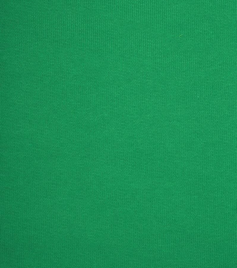 Colorful Standard Kleurrijke standaard trui Kelly Green Groen Heren
