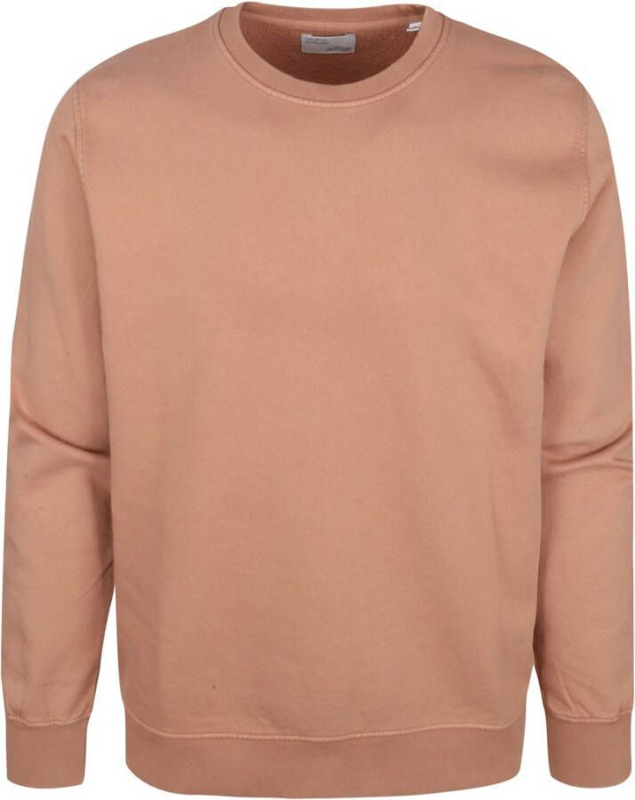 Colorful Standard Sweatshirt organisch Bruin Heren
