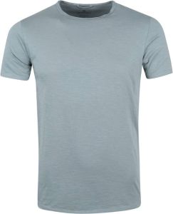 Dstrezzed Mc Queen T-shirt Grijsblauw