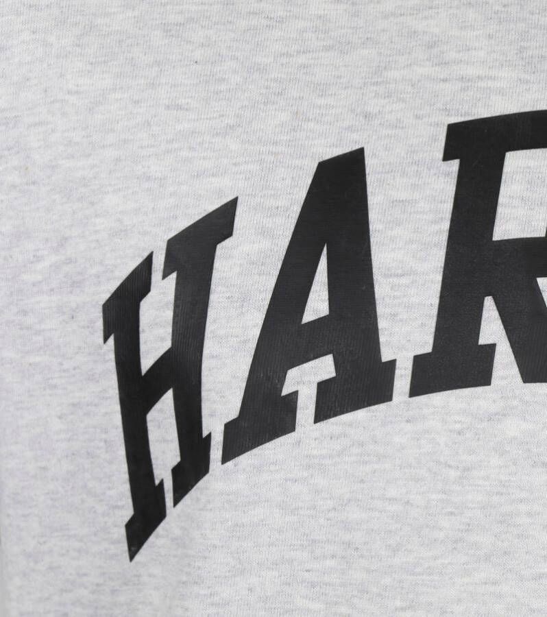 Champion T-Shirt Grijs Harvard