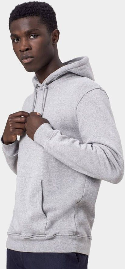 Colorful Standard Hoodie Grijs