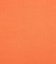 Colorful Standard Hoodie Neon Oranje - Thumbnail 2