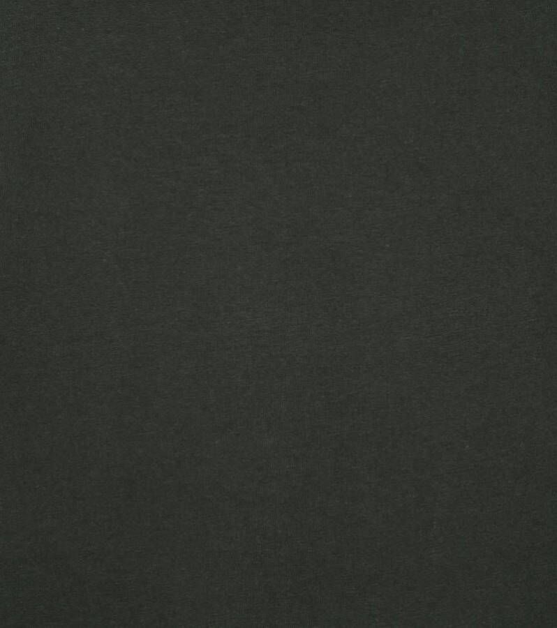Colorful Standard Organic T-shirt Donkergroen