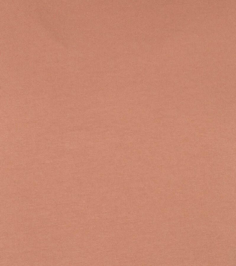 Colorful Standard Organisch T-shirt Bruin