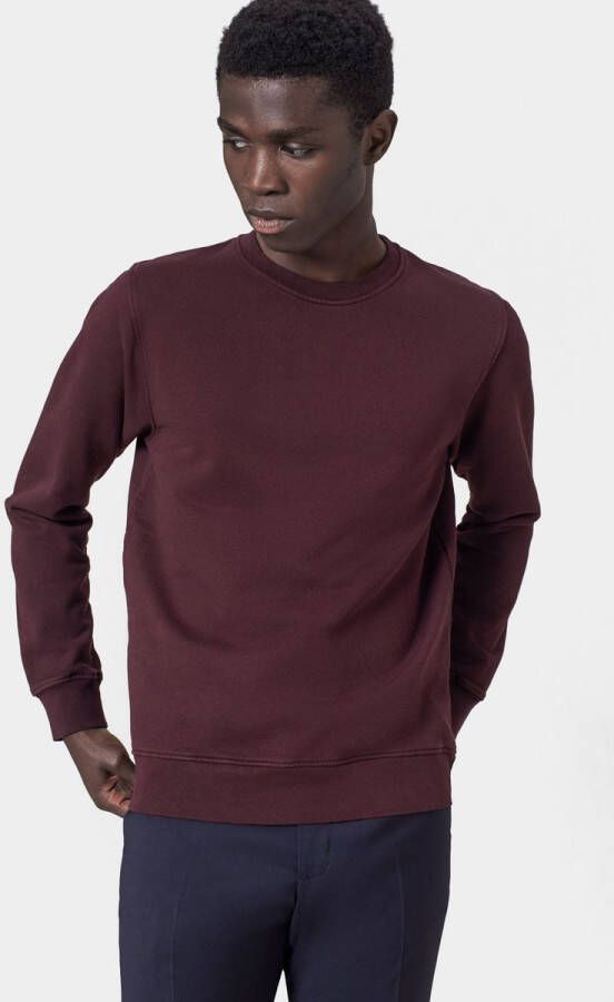 Colorful Standard Sweater Organic Bordeaux