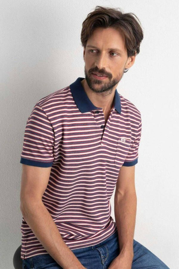 Petrol Polo Rood