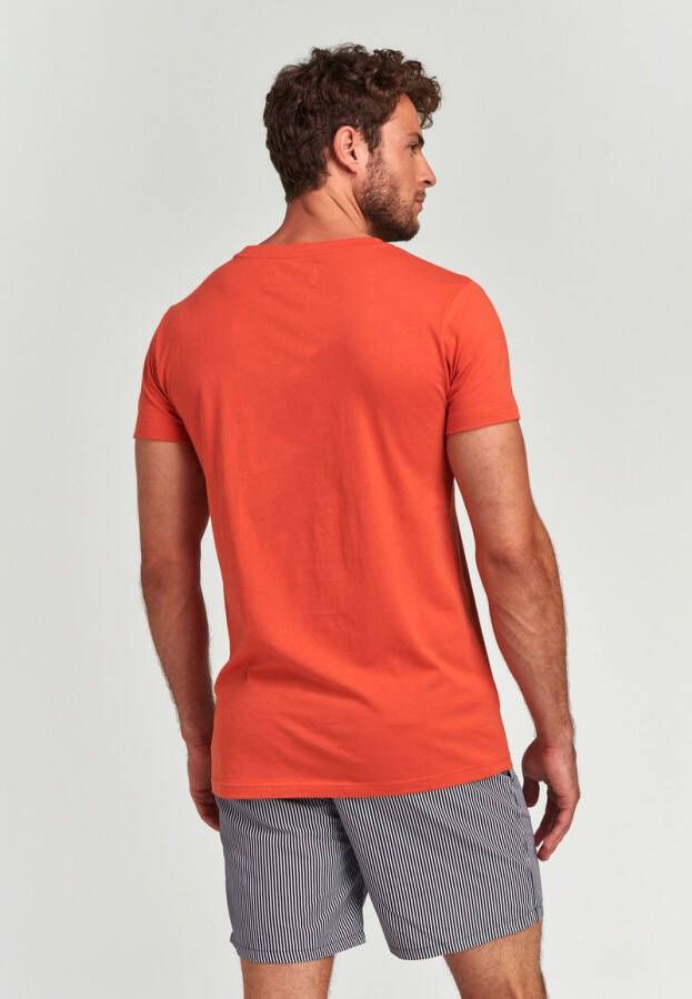 Shiwi T-Shirt Print Oranje