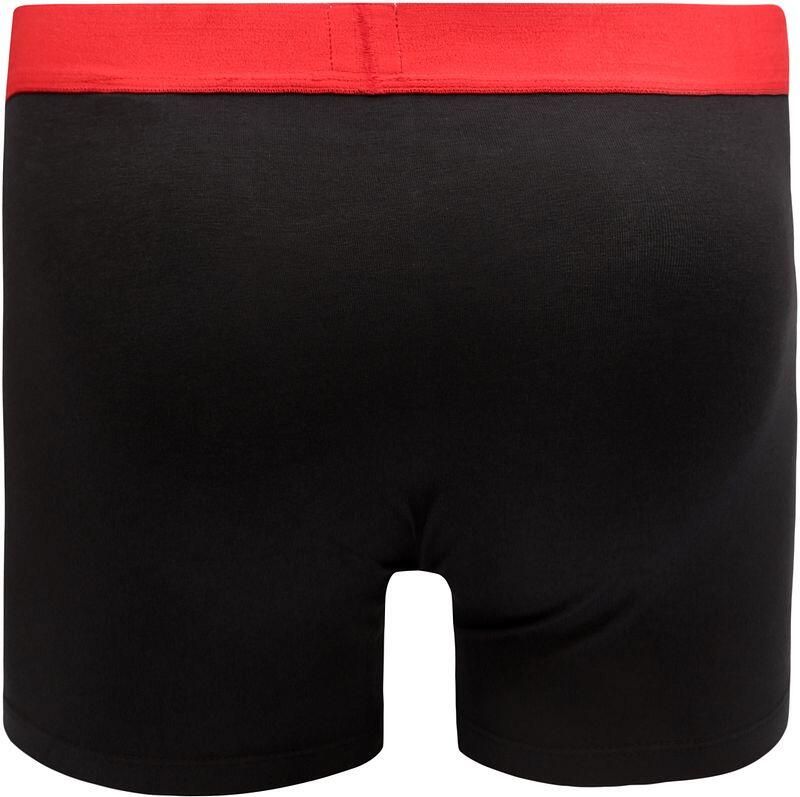 Levi's Boxershort LEVIS MEN SLD BASC BOXER BRIEF ORG CO 2P (Set van 2) - Foto 5