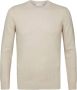 PROFUOMO Heren Truien & Vesten Pullover Crew Neck Beige - Thumbnail 1