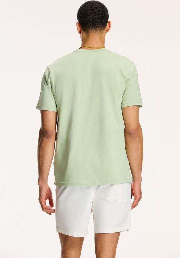 Shiwi T-Shirt Antigua Port Dust Green - Foto 2