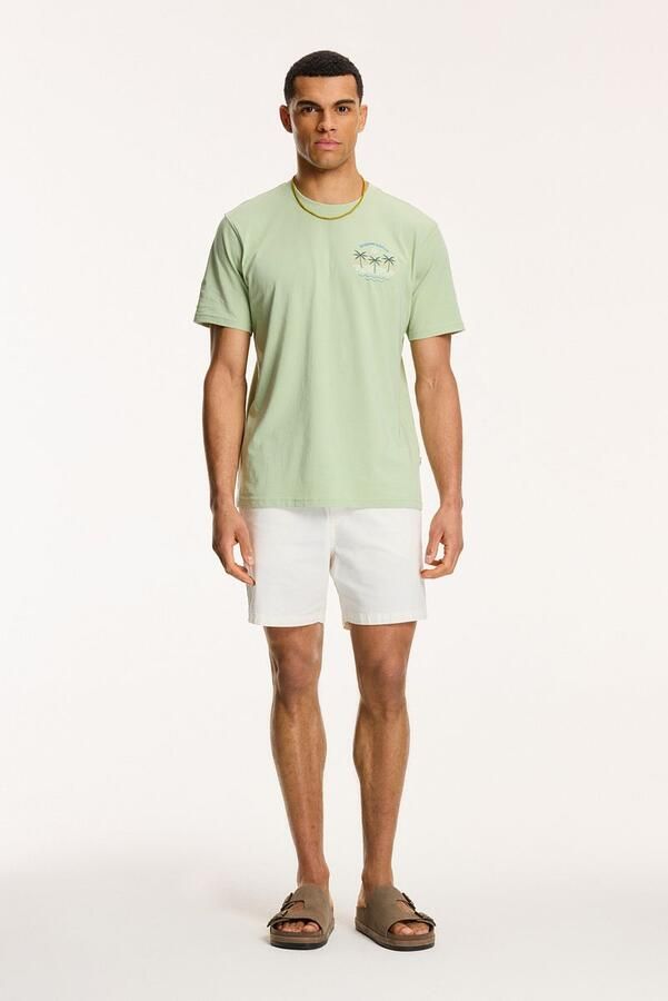 Shiwi T-Shirt Antigua Port Dust Green - Foto 3