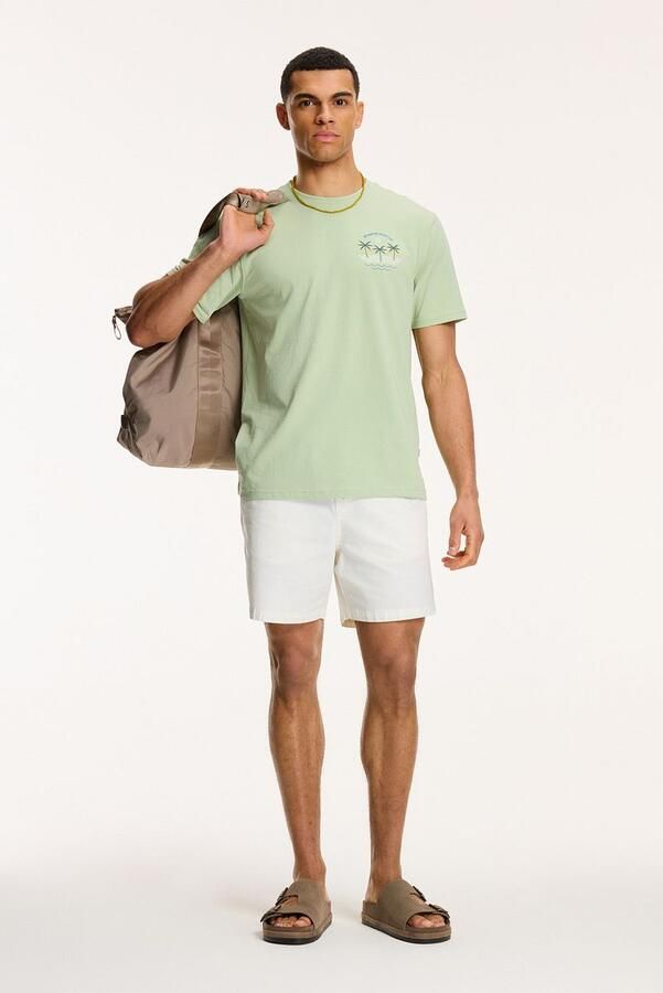 Shiwi T-Shirt Antigua Port Dust Green - Foto 5