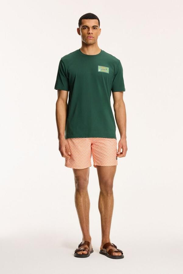Shiwi T-Shirt Sardines Cilantro Green - Foto 2