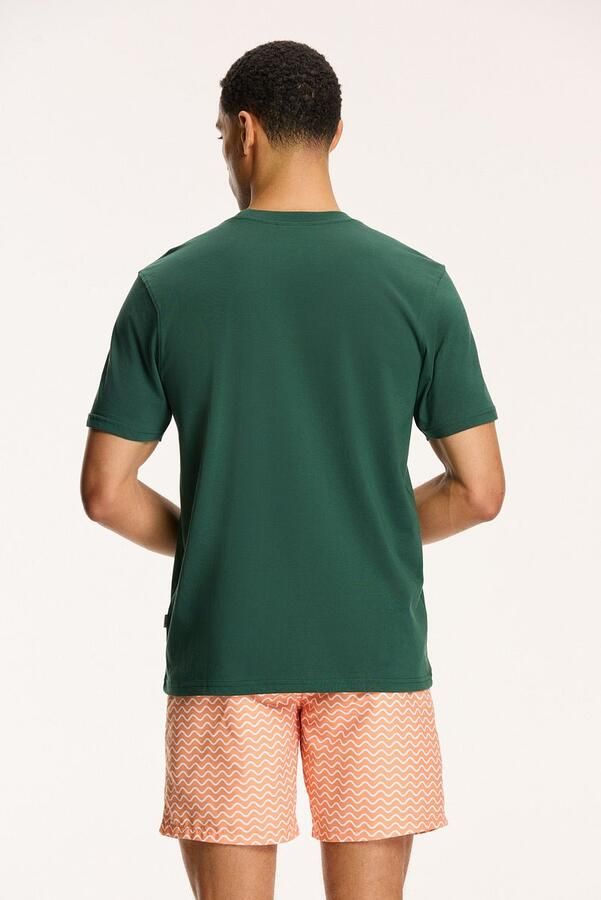 Shiwi T-Shirt Sardines Cilantro Green - Foto 3