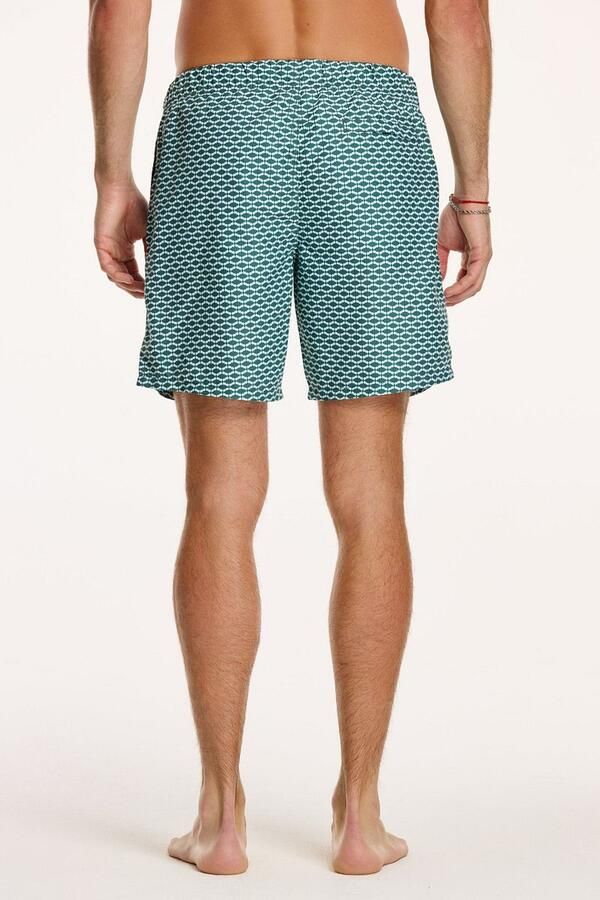 SHIWI Heren Zwembroeken Men Swimshort Hammam Groen - Foto 4