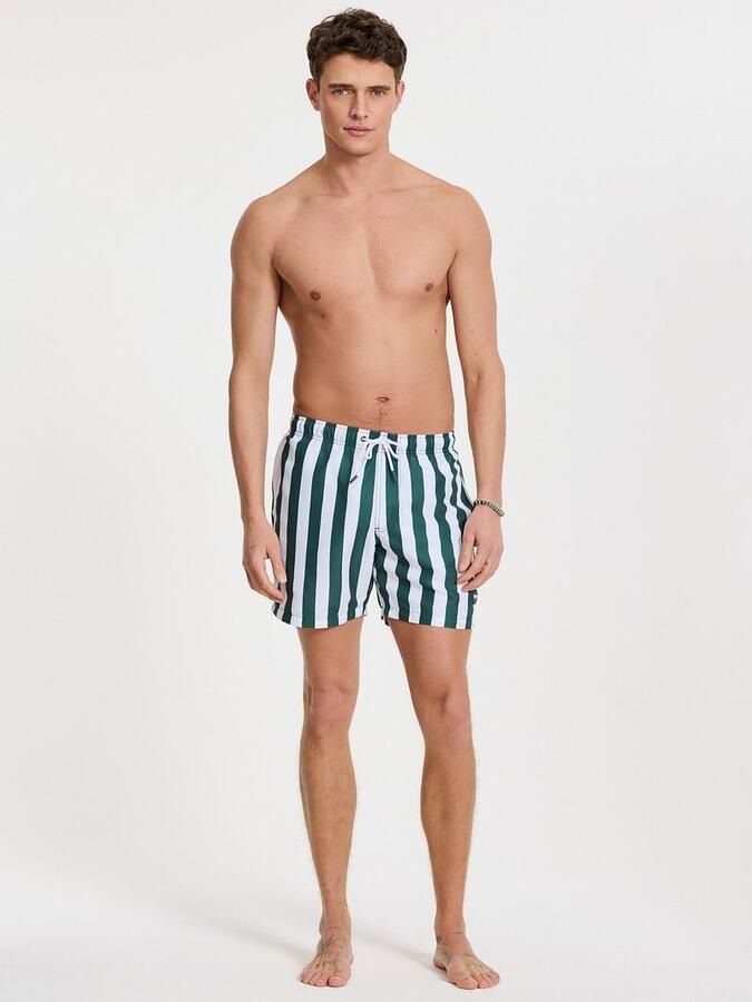 SHIWI Heren Zwembroeken Swimshort Broad Stripe Groen - Foto 6
