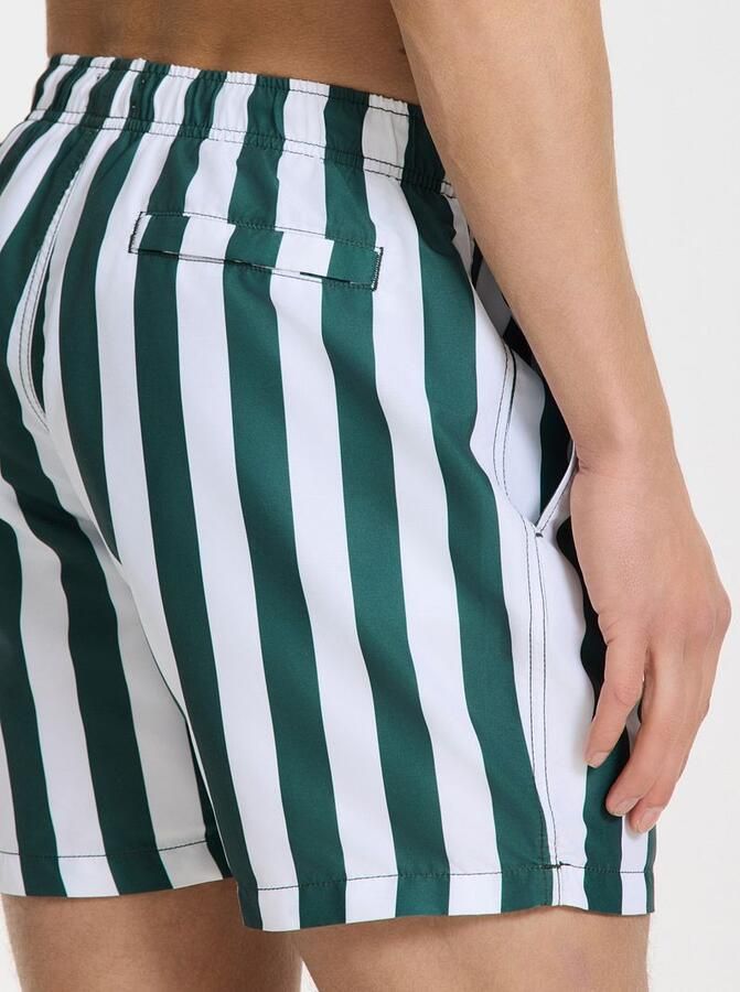 SHIWI Heren Zwembroeken Swimshort Broad Stripe Groen - Foto 9
