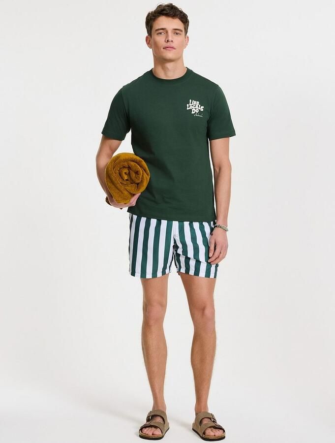 SHIWI Heren Zwembroeken Swimshort Broad Stripe Groen - Foto 7