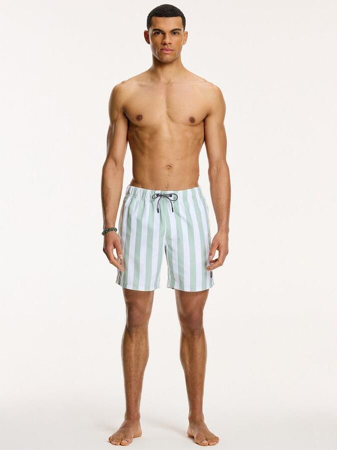 SHIWI Heren Zwembroeken Men Swimshort Broad Stripe Groen - Foto 6