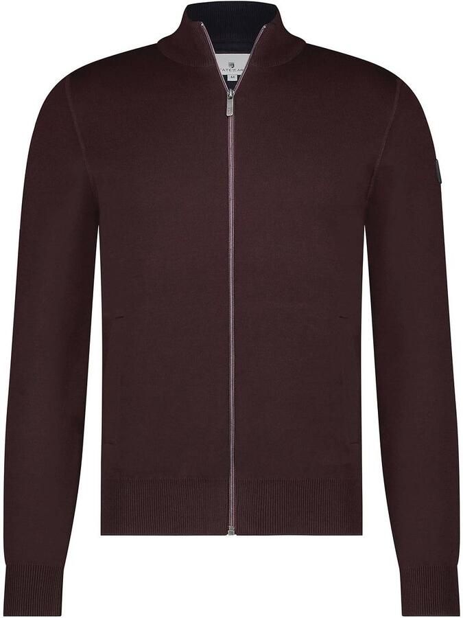 State of Art Aubergine Vest voor Mannen Purple Heren