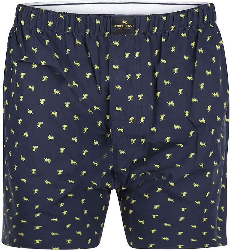 Steppin' Out Boxershort Poplin Print Navy