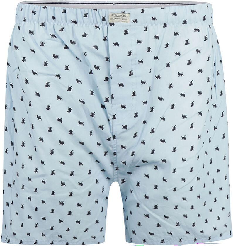 Steppin' Out Boxershort Print Poplin Lichtblauw