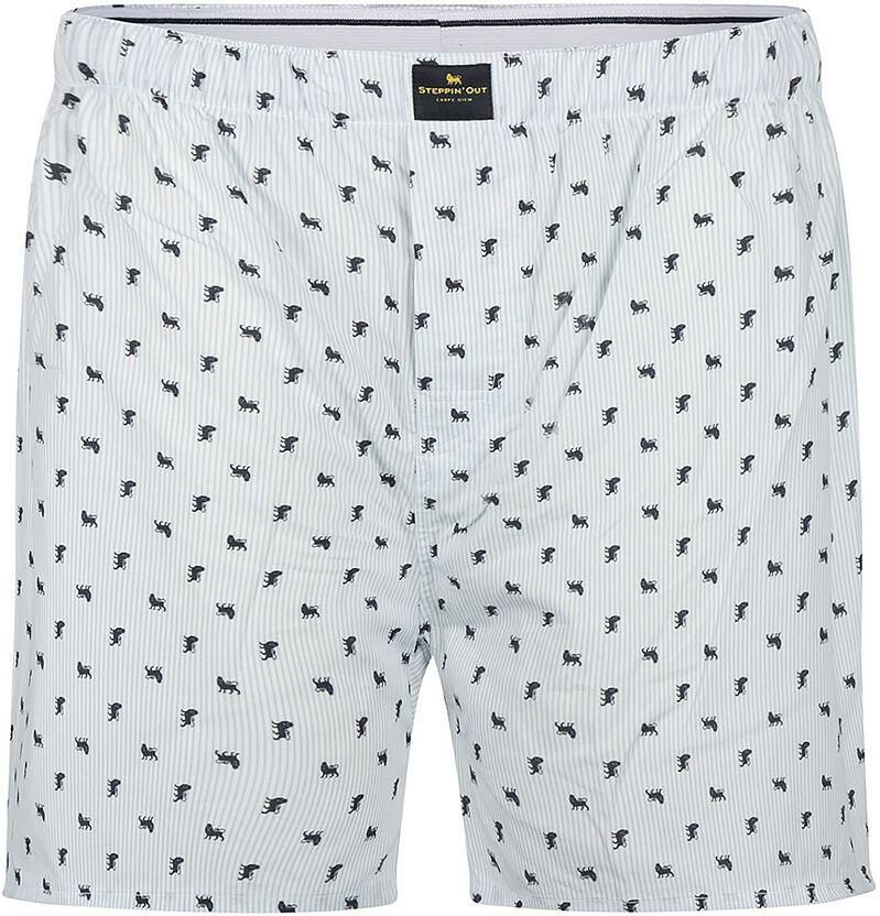 Steppin' Out Boxershort Poplin Print Lichtblauw