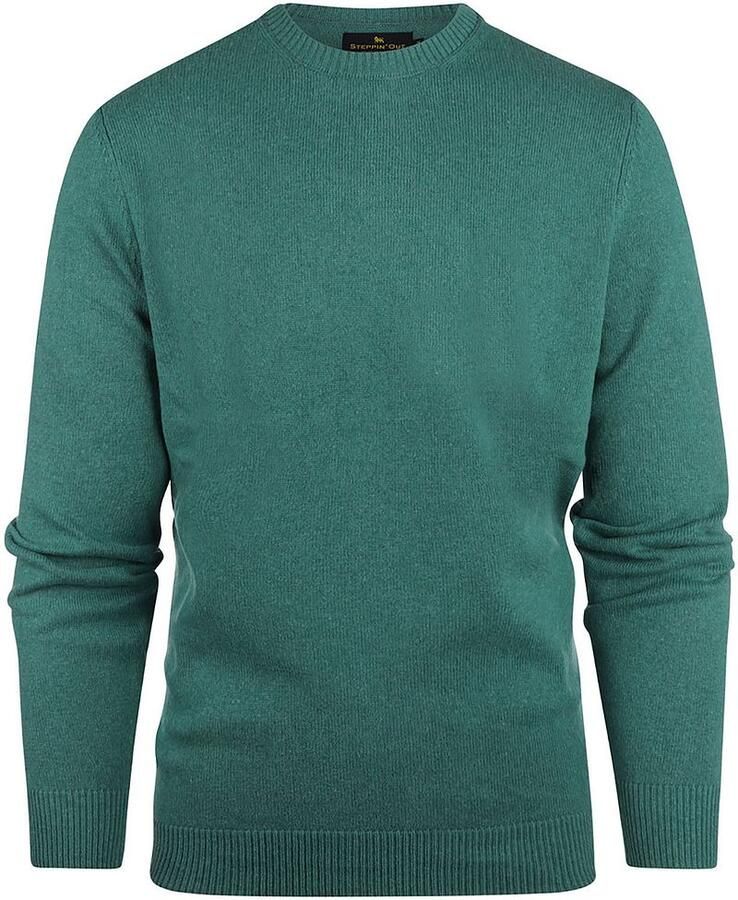 Steppin' Out Trui Medium Groen
