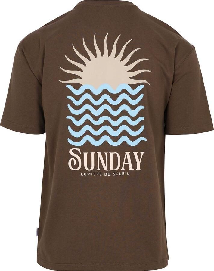 Supply & Co T-Shirt Backprint Bruin