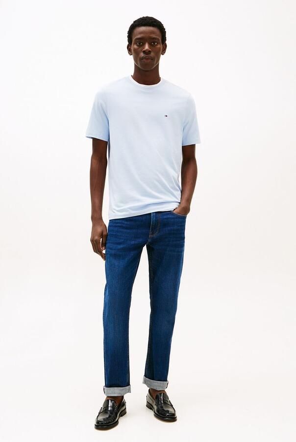 TOMMY HILFIGER Heren Polo's & T-shirts Ess Seasonal Reg Fit Solid Tee Lichtblauw