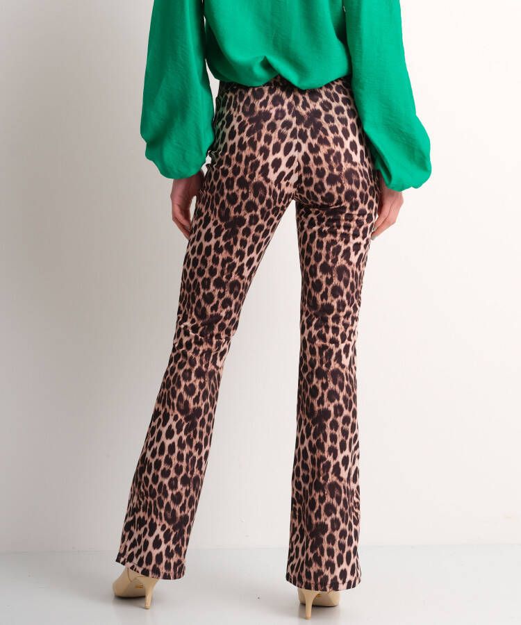 terStal Dames flared fit broek panterprint bruin in maat