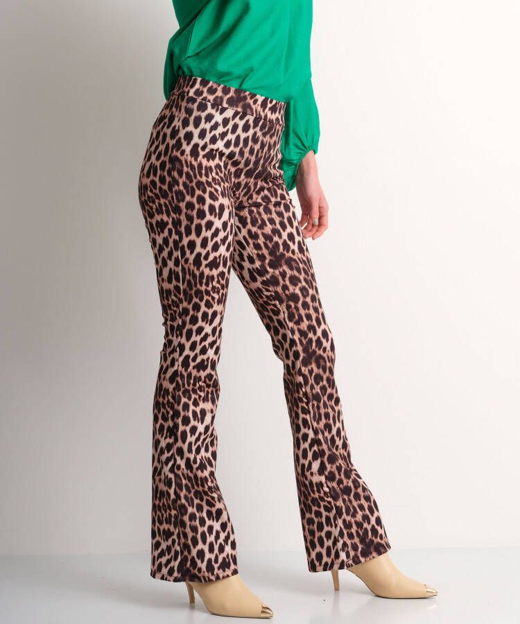 terStal Dames flared fit broek panterprint bruin in maat