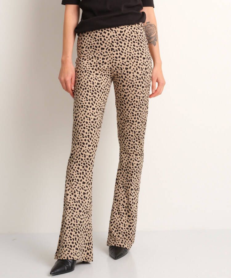 TerStal Dames flared fit broek stippenprint beige in maat