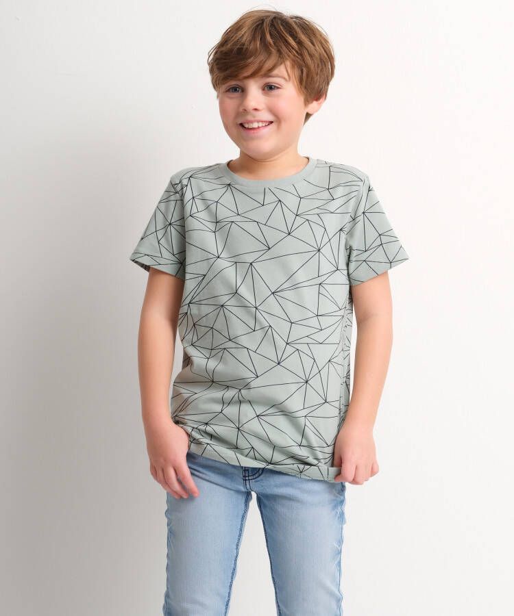TerStal Jongens t-shirt all-over lineprint mint in maat