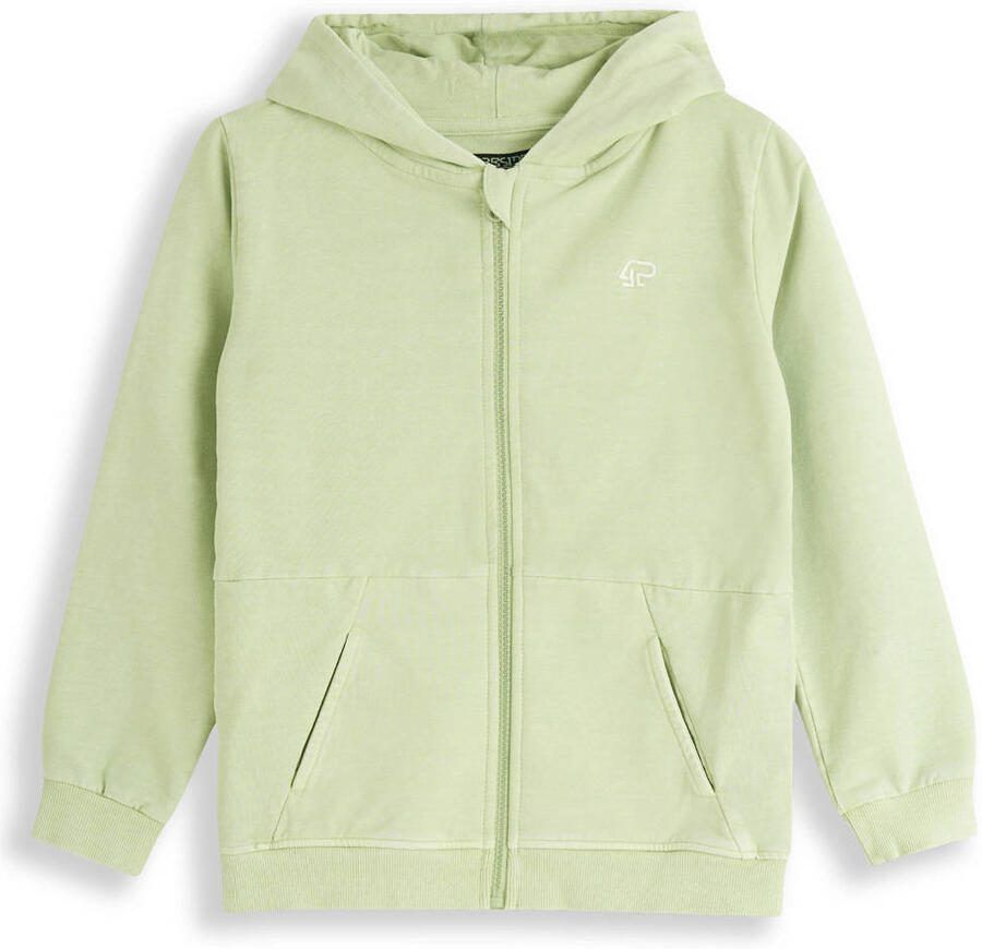 4PRESIDENT Hoodie Richard Pastel green
