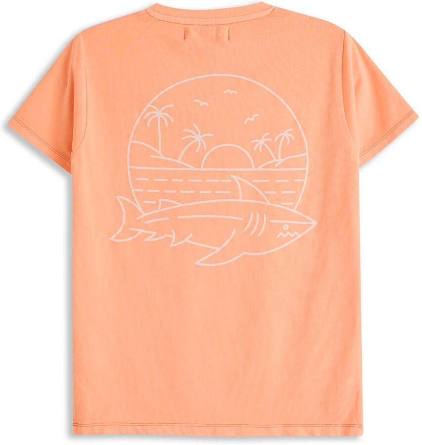 4PRESIDENT T-Shirt Ryan Dark orange - Foto 2