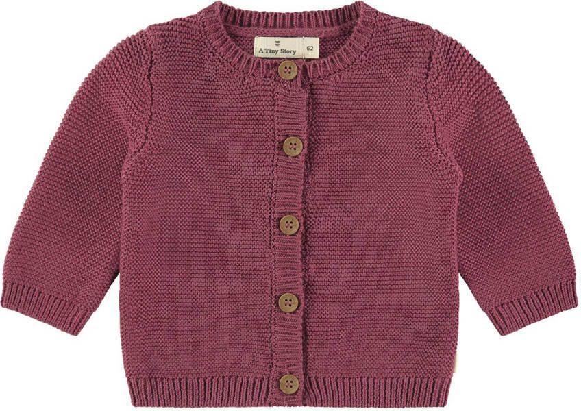 A Tiny Story baby gebreid vest rood - Foto 1