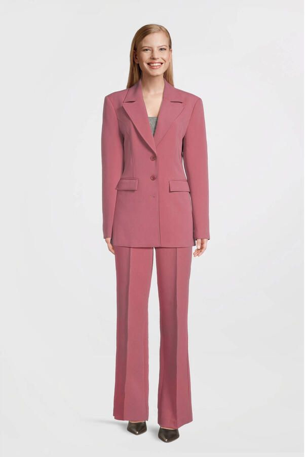 Aaiko Stijlvolle Emilie Blazer Pink Dames