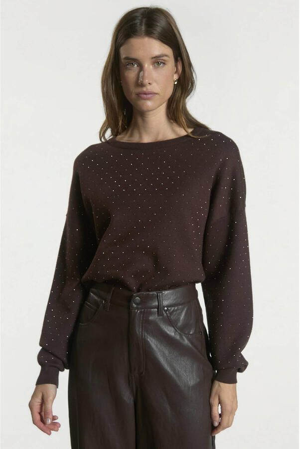 Aaiko sweater met strass-steentjes bruin