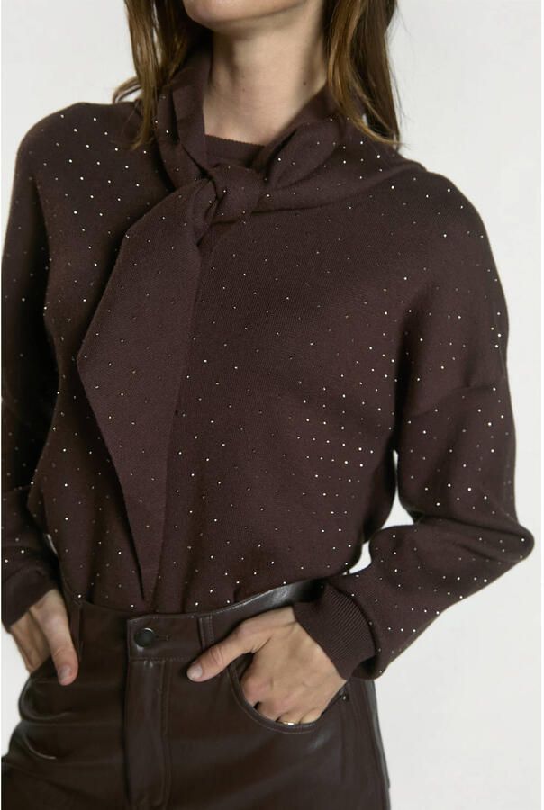 Aaiko sweater met strass-steentjes bruin - Foto 2