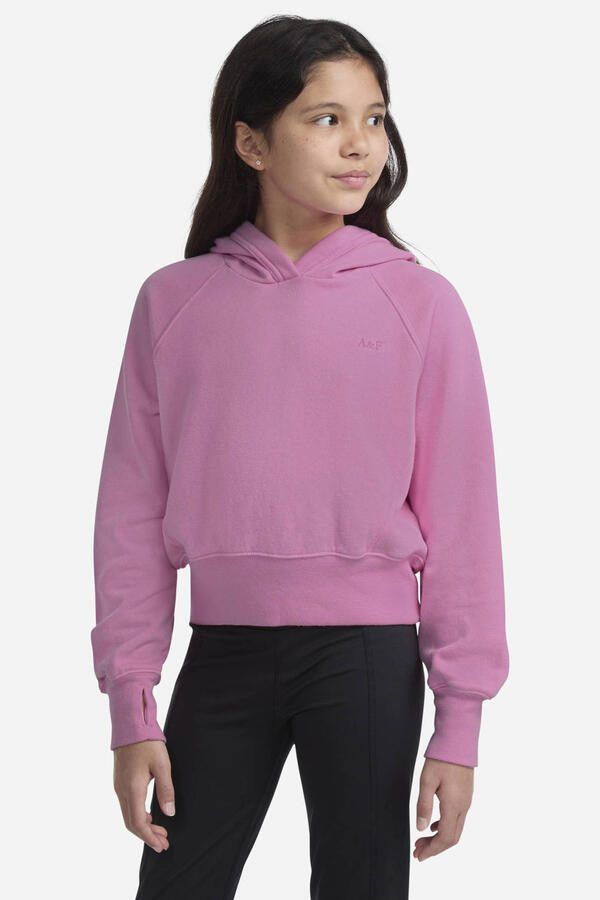 Abercrombie & Fitch hoodie roze
