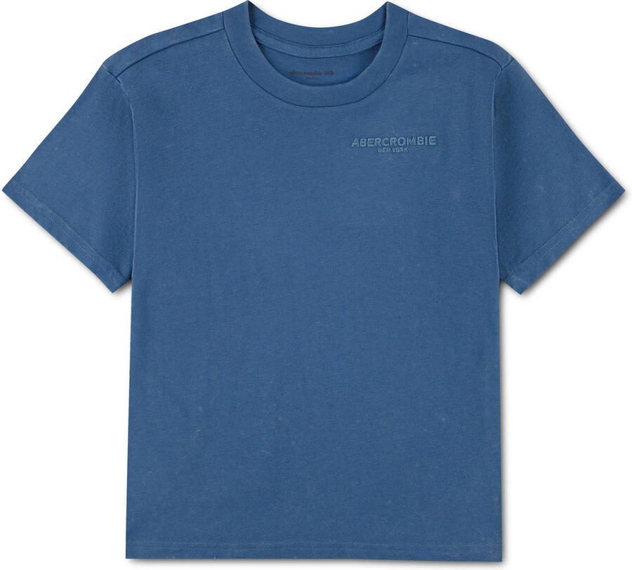 Abercrombie & Fitch jersey T-shirt blauw
