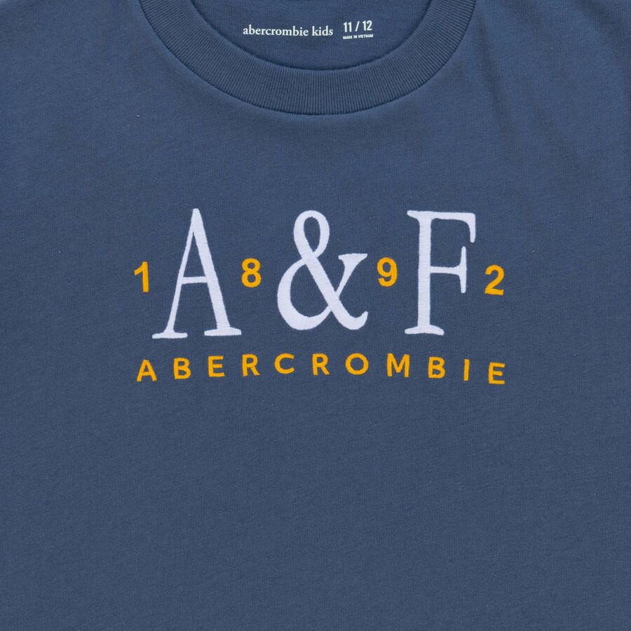 Abercrombie & Fitch jersey T-shirt donkerblauw Tekst maat 134-140